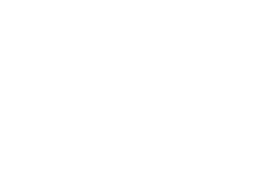 Old Shoe Factory logo